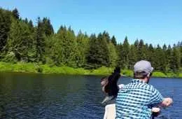 When A Bald Eagle Swoops Down And Steals Your Fish Featured