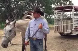 Oregon Man Jumps On His Horse And Lassos A Would Be Bicycle Thief At The Local Walmart Featured