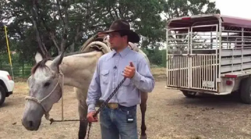 Oregon Man Jumps On His Horse And Lassos A Would Be Bicycle Thief At The Local Walmart Featured