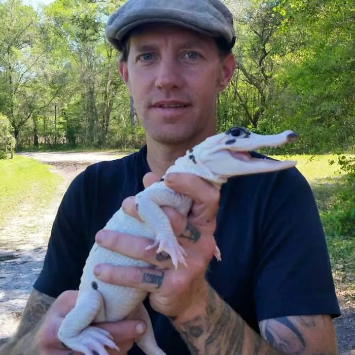Snowball And Blizzard Meet The World's First Piebald Alligator And An Extremely Rare Leucistic Alligator In Florida Pictures 004