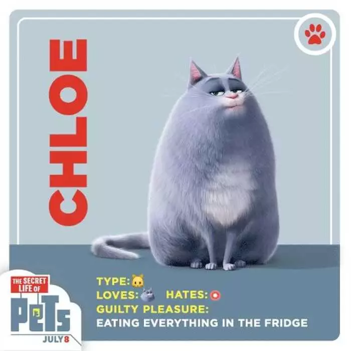 The Secret Life Of Pets  Funny Pictures And Quotes 003