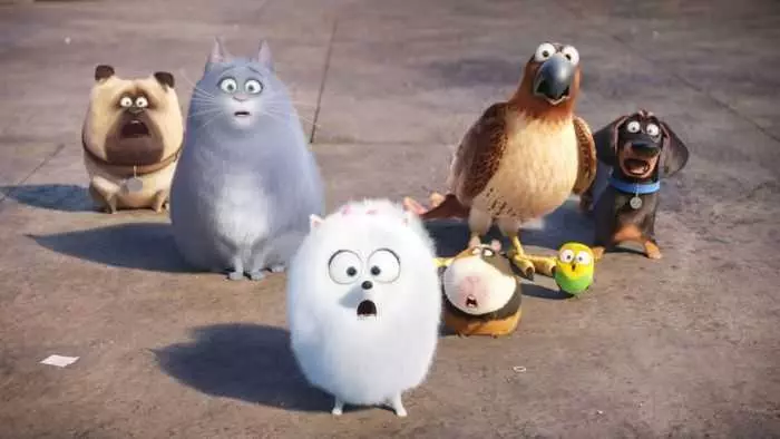 The Secret Life Of Pets  Funny Pictures And Quotes 005
