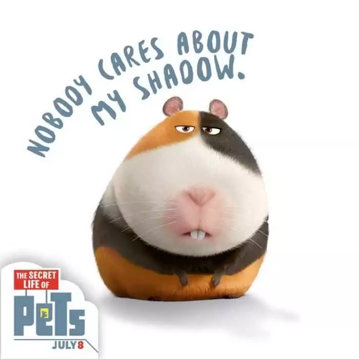 The Secret Life Of Pets  Funny Pictures And Quotes 009