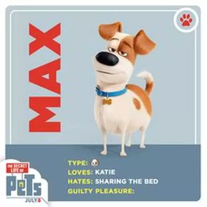 The Secret Life Of Pets  Funny Pictures And Quotes 010