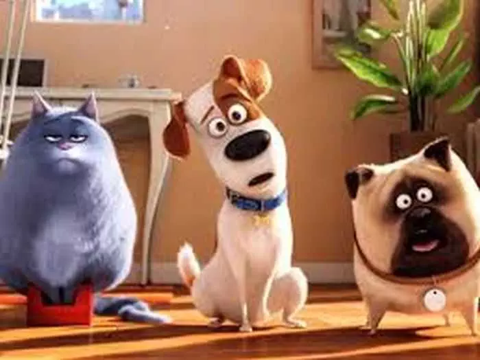 The Secret Life Of Pets  Funny Pictures And Quotes 019