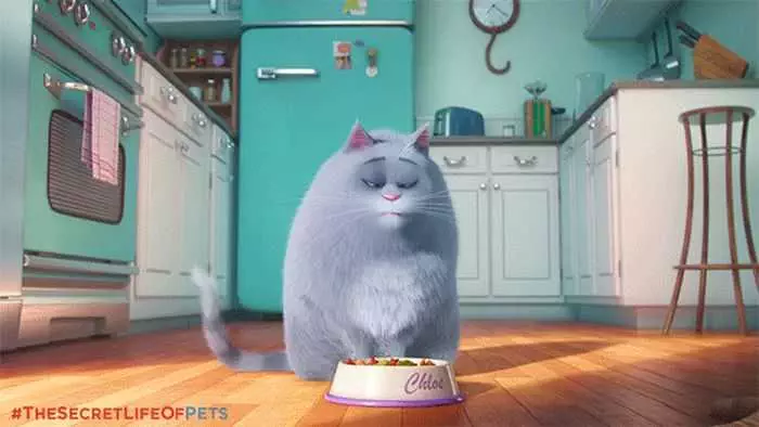 The Secret Life Of Pets  Funny Pictures And Quotes 022