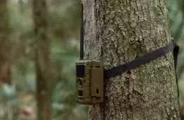 Someone Put A Bunch Of Ieds In Trail Cameras  Atf Has Issued A Warning Featured
