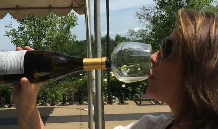 Guzzlebuddyturnyourwinebottleintoahugewineglassfeatured