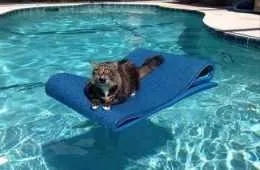 26Funnypicturesthatwillmakeyousmile008