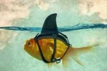 52 Of The Funniest Quotes Ever 012