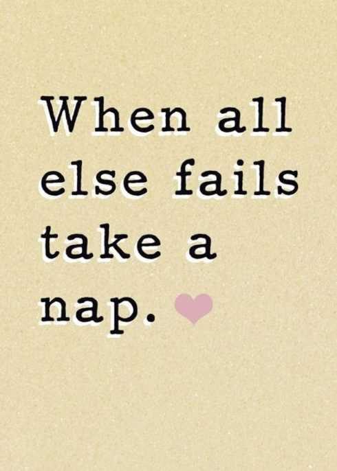 66 Funny Pictures Nap