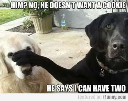 66 Funny Pictures Sure He Said That