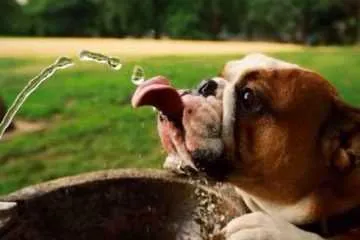 66 Funny Pictures You Will Absolutely Love 039