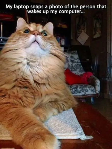 FatCatLaptop