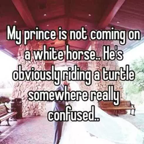 Extremely Funny Quotes 020