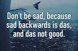 Funny Quotes Sure To Make You Smile