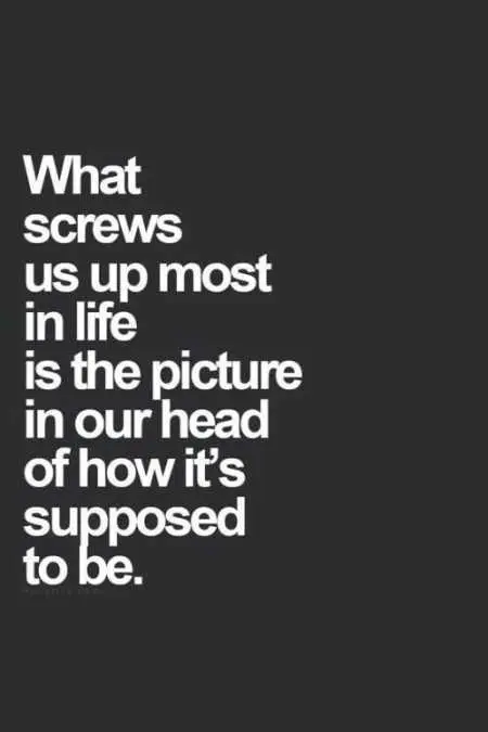 Funny Quotes Youre Going To Love 018