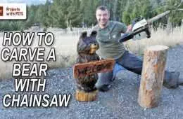 How To Carve A Bear With A Chainsaw Featured