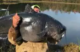 North Carolina Man Caught A 112 Pound Catfish On The Cape Fear River