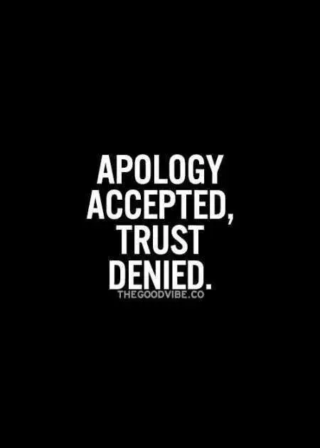 Funniest Quotes On The Internet 002