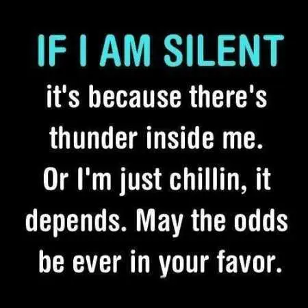 Funniest Quotes On The Internet 031