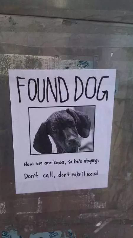Funny Found Dog Sign