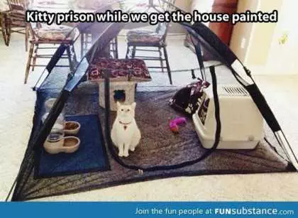 Use A Tent For A Cat Prison