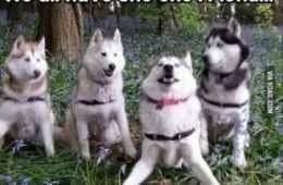 When You Turn Down The Volume In Your Car To Find A Parking Spot