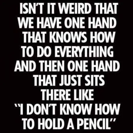 Extremely Funny Quotes 009