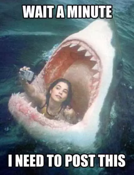 Funny Animals Youre Sure To Love 017