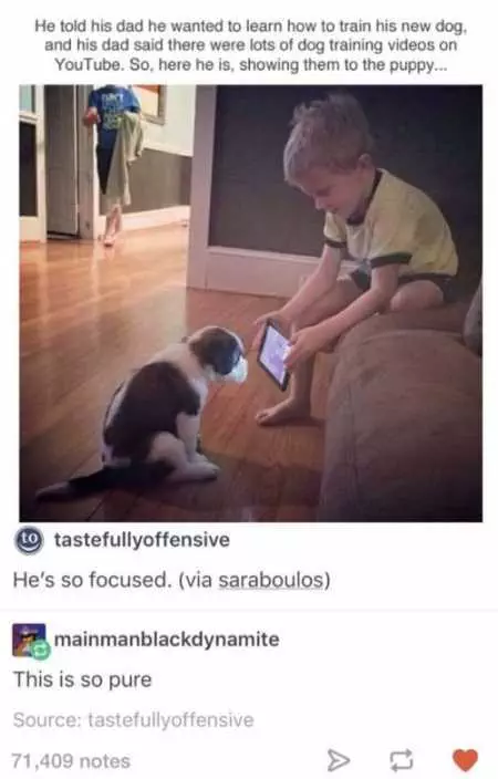 Funny Animals Youre Sure To Love 022