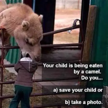 Funny Pictures Youre Going To Love 003