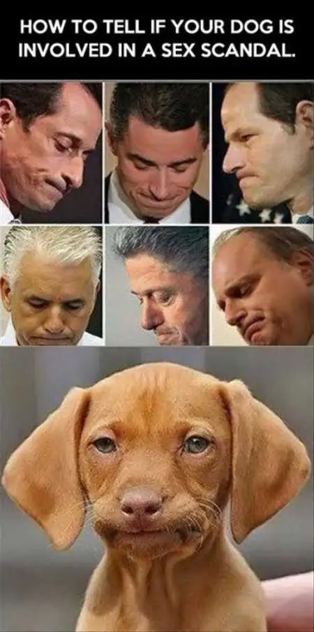 Funny Pictures Youre Going To Love 004