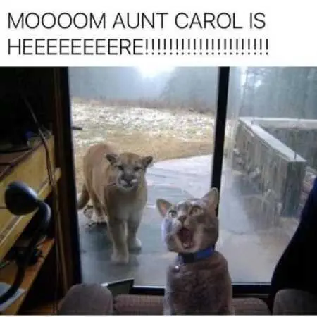 Funny Pictures Youre Going To Love 008