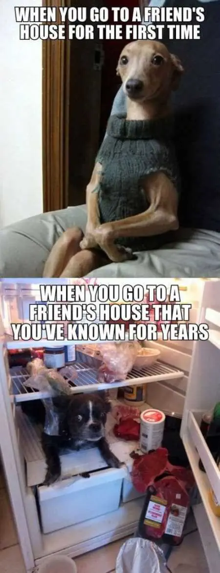 Funny Pictures Youre Going To Love 010
