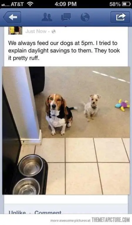 Funny Pictures Youre Going To Love 017