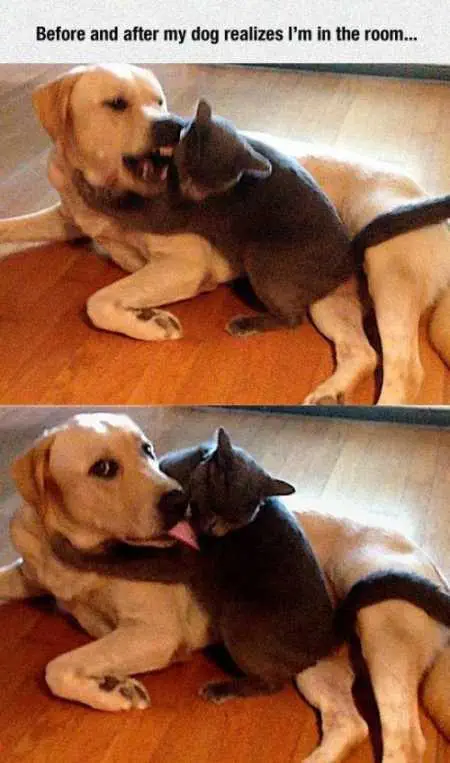 Funny Pictures Youre Going To Love 018