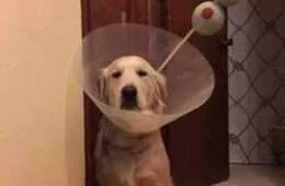 Funny Pictures Youre Going To Love 019