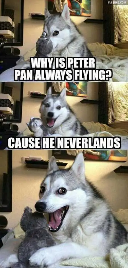 Funny Pictures Youre Going To Love 020