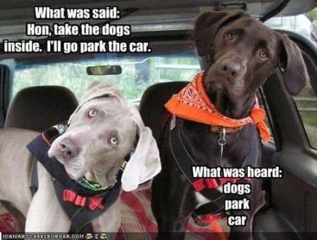 Funny Pictures Youre Going To Love 027