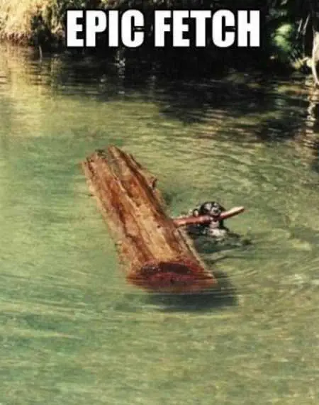 Funny Pictures Youre Going To Love 030