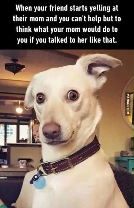Funny Pictures Youre Going To Love 032