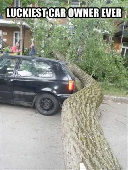 Funny Pictures Youre Going To Love 034