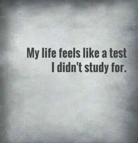 Funny Quotes Youre Going To Love 017