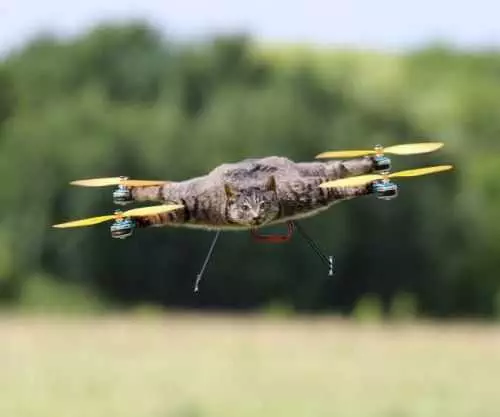 Taxidermy Animal Drones  From Coptercompany 002
