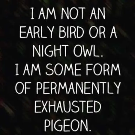 The Funniest Quotes You Will See All Day 020