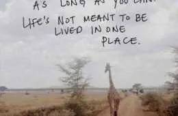 Best Inspirational Quotes Ever 028