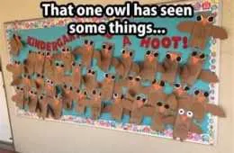 Funniest Pics Ever 011