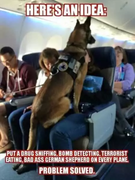 Funny Picture Of A German Shepherd Sitting On It'S Owners Lap On An Airplane With A Caption: Put A Drug Sniffing, Bomb Detecting, Terrorist Eating, Bad Ass German Shepherd On Every Plane. Problem Solved.
