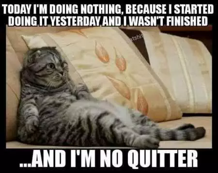 Funny Picture About A Fat Cat Lying On Sofa Captioned Today I'M Doing Nothing Because I Started Doing It Yesterday And I Wasn'T Finished ... And I'M No Quitter